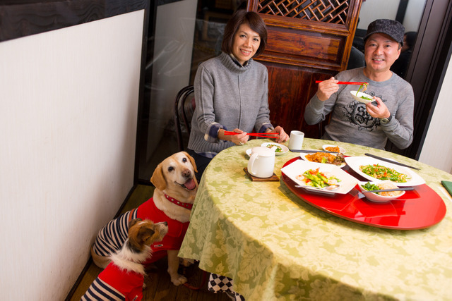 夕食は、犬と店内で食事ができる「翠天楼 本店」で。
