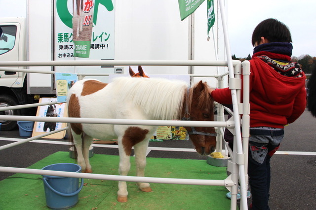 マツダファンフェスタ15 in 岡山