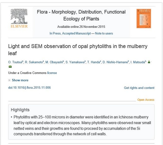 論文は「Flora」オンライン版に掲載されている（一部）