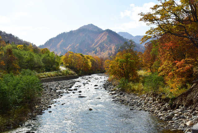 御池から下りきったところにある只見川が福島～新潟を分ける。古くは越後と会津の国境でもあった。川の流れを見ると、上流で散った枯葉が水中で乱舞していた。