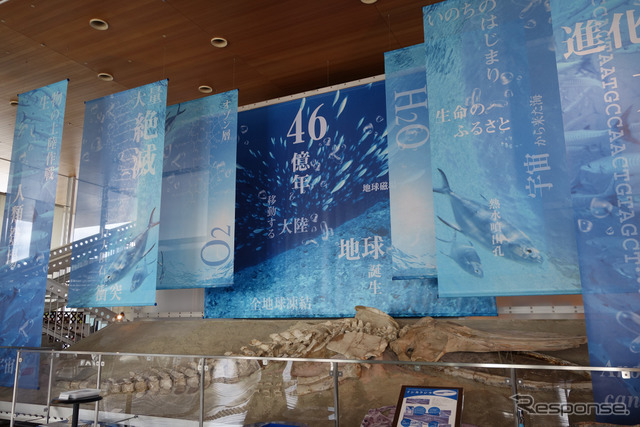 蒲郡市生命の海科学館。コロナ禍で古代生物の展示スペースがクローズになっていたのは残念無念だが、展示リストを見ると古生物マニア、地質年代マニア垂涎。写真の化石は2016年に新種認定されたというインカクジラのもの。