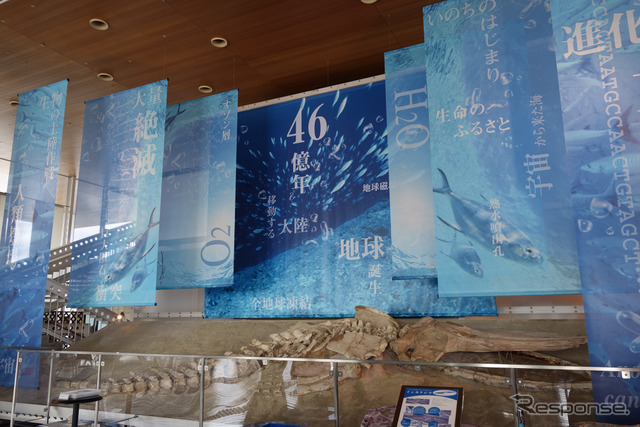 蒲郡市生命の海科学館。コロナ禍で古代生物の展示スペースがクローズになっていたのは残念無念だが、展示リストを見ると古生物マニア、地質年代マニア垂涎。写真の化石は2016年に新種認定されたというインカクジラのもの。