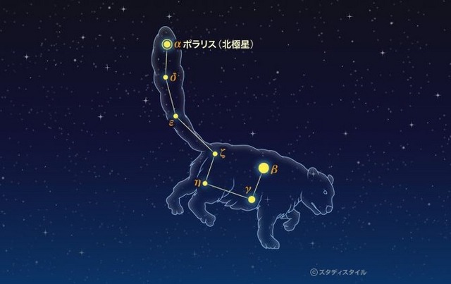 こぐま座（こぐま座流星群 2015）　（参考：スタディスタイル学習館）