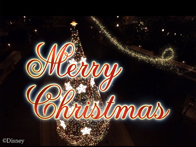 （拡大）クリスマス映像