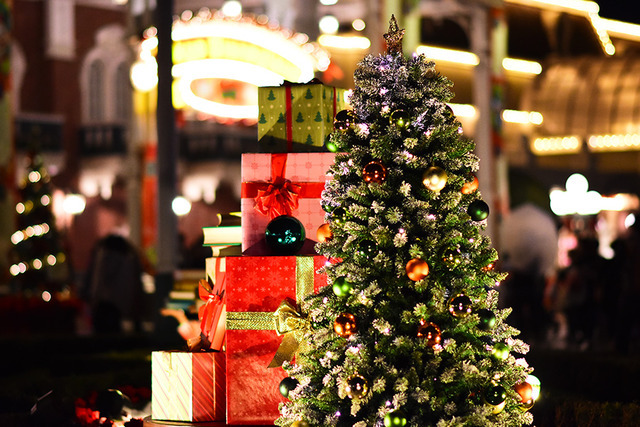 クリスマスのディズニーランド