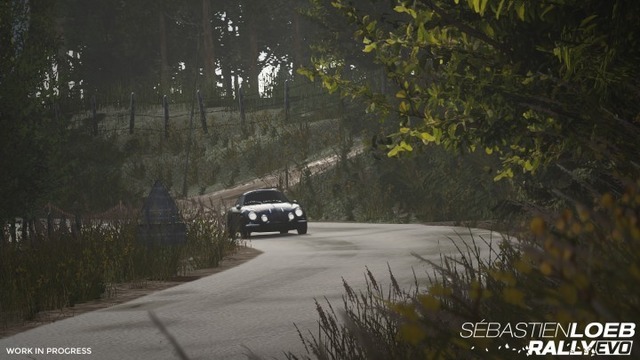 セバスチャン・ローブ ラリー EVO
