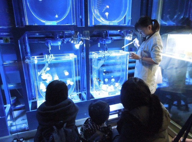 「すみだ水族館」水族館で飼育スタッフ体験　(c)TOKYO-SKYTREETOWN