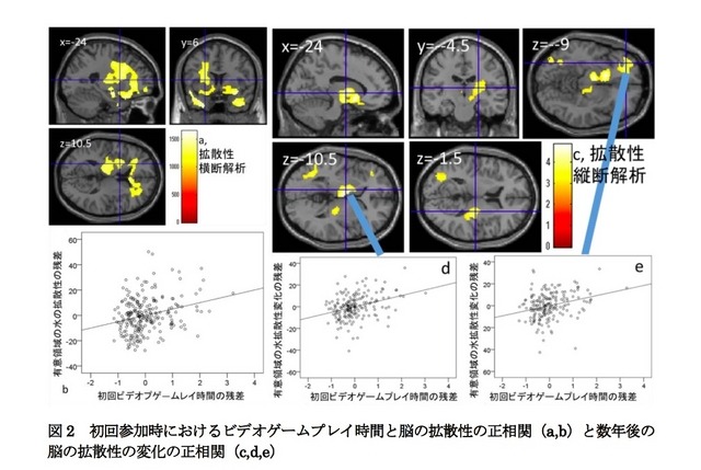 初回参加時におけるビデオゲームプレイ時間と脳の拡散性の正相関（a,b）と数年後の脳の拡散性の変化の正相関（c,d,e）