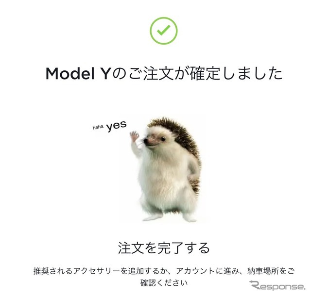 テスラ モデルYの注文が確定した瞬間。ハリネズミが可愛い。（スクリーンショット）