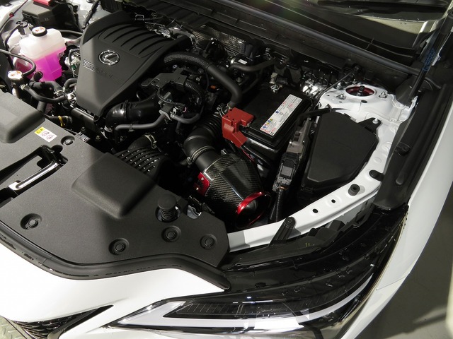 レクサス NX350 (TAZA25)用 CARBON POWER装着写真