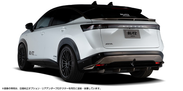 Rear Spoiler / Rear Diffuser ※⽇産純正オプション・リアアンダープロテクターを塗装・装着しています