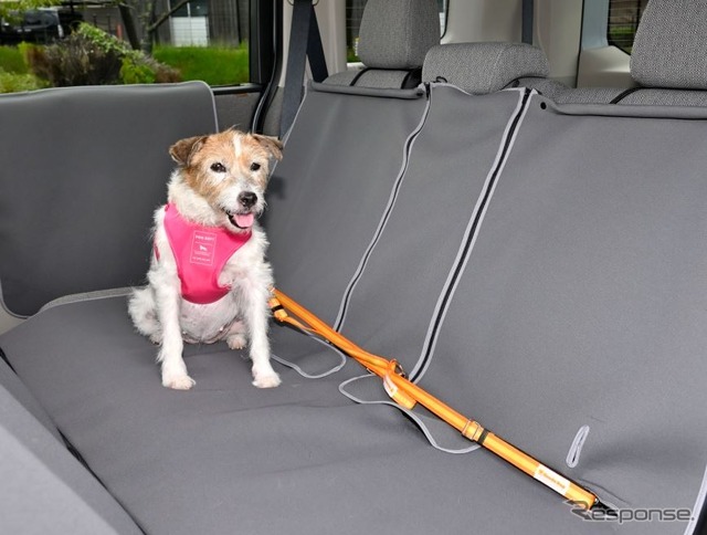 Honda Dogの「ペット車外飛び出し防止リード」