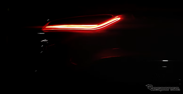 レズバニ・ビースト 新型のティザー写真
