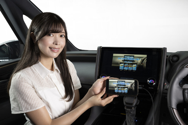 現代のマストアイテム！同乗者が車内で映像コンテンツを楽しむデータシステムのTVキットが非常に便利！