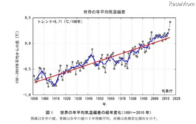 世界の年平均気温偏差の経年変化（1891～2015 年）