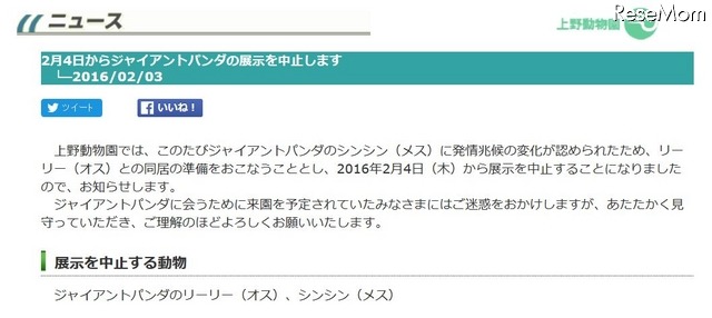 リーリーとシンシン　展示中止のお知らせ