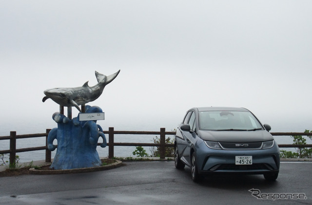 鹿児島・薩摩半島南部の辺境、野間岬にて。天気が悪く残念だったが穴場的絶景スポットである。