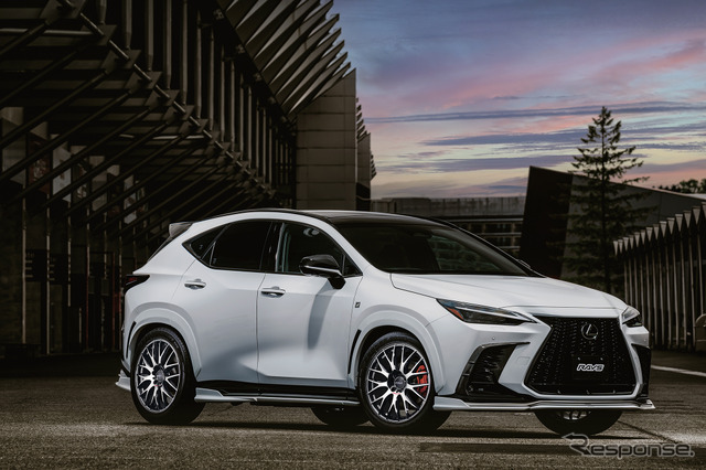 RAYS HOMURA 2x9Plus JET BLACK EDITION IV × LEXUS NX