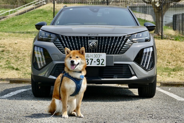 プジョー 2008 GT BlueHDi