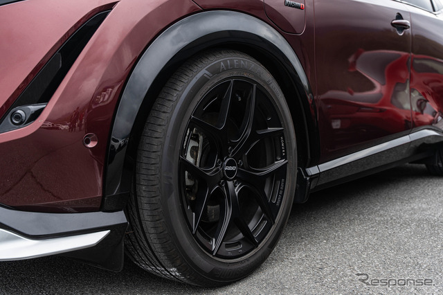 NISSAN アリア × ホムラ 2×5FT…レイズファンミーティング2025