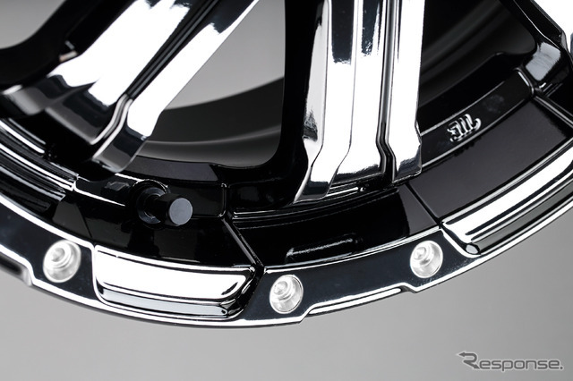 TEAM DAYTONA FDX-K COLLECTION レイズブラックメタルコート