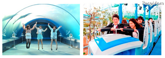 水族館からアトラクションまで！シーパラダイスをトコトンお得に満喫できる