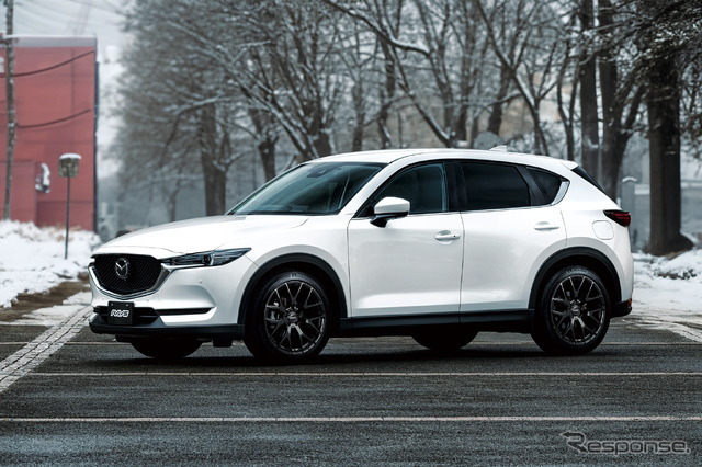 レイズ RSS RS 2×7FT × MAZDA CX-5