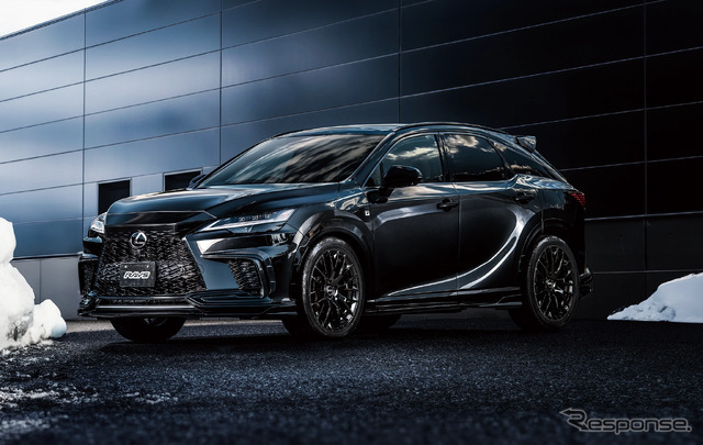 レイズ RSS RS 2×9R × LEXUS RX