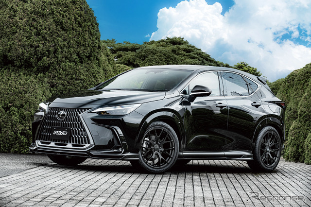 レイズ RSS RS 2×7FT × LEXUS NX