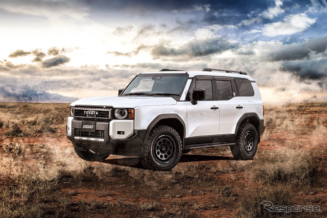 レイズ DAYTONA D9 × TOYOTA ランドクルーザー250