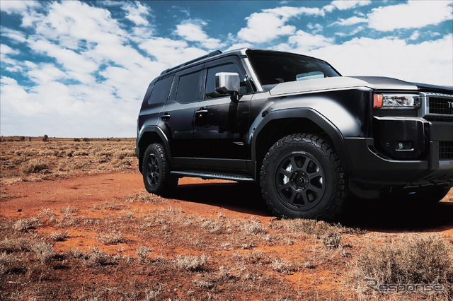 レイズ DAYTONA D108 × TOYOTA ランドクルーザー250