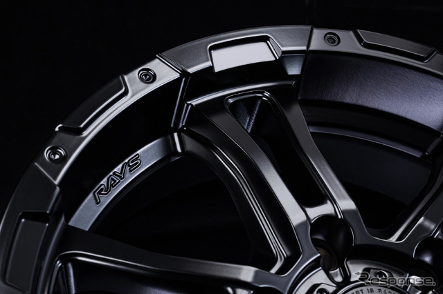 RAYS チームデイトナ FDX-AG セミグロスブラック