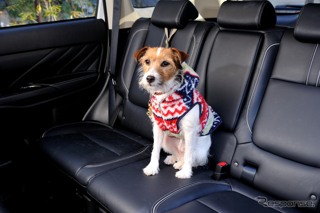 小型犬のララは後席に飛び出し防止用のリードを装着して乗車