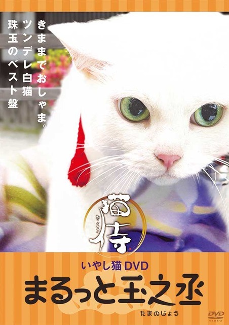 「猫侍 いやし猫DVD まるっと玉之丞」ジャケットー(C)2016「猫侍SP」製作委員会