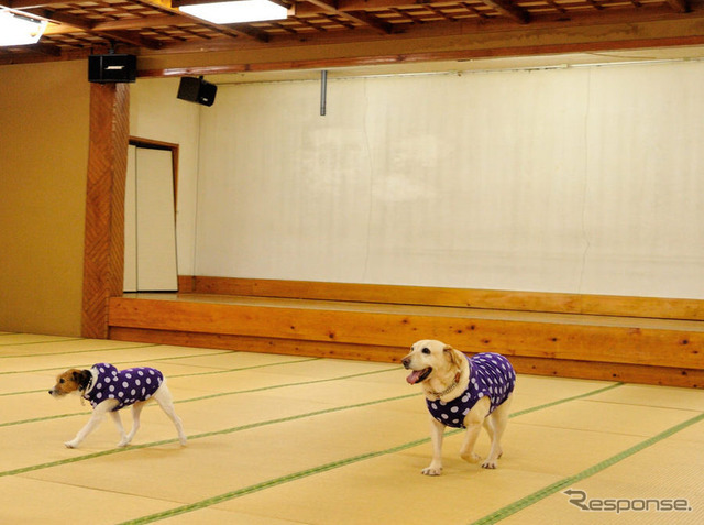 屋内ドッグランはなんと約100畳。雨でも安心だ（鬼怒川 絆）