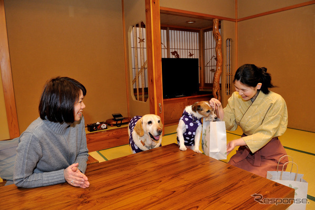 仲居さんに案内され純和風の畳み敷きのお部屋に入ると、なんと宿からマリアとララにたくさんのプレゼントが。こうしたもてなし方は、絆の大きな個性、魅力。マリアもララも滞在の始まりから大満足（もちろんボクたちも）。