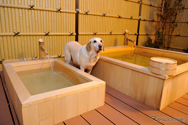 部屋には犬用の温泉も！（鬼怒川 絆）