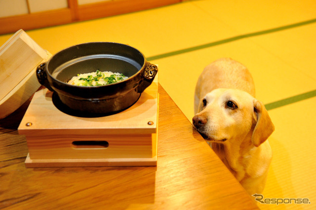 「美味しそうな匂い…」byマリア