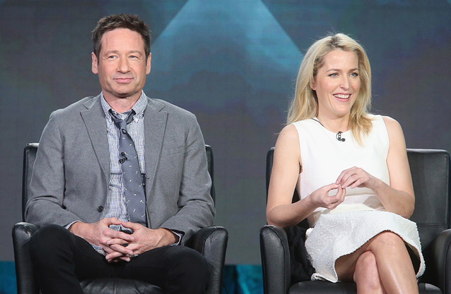 デイヴィッド・ドゥカヴニー、ジリアン・アンダーソン - (C) Getty Images