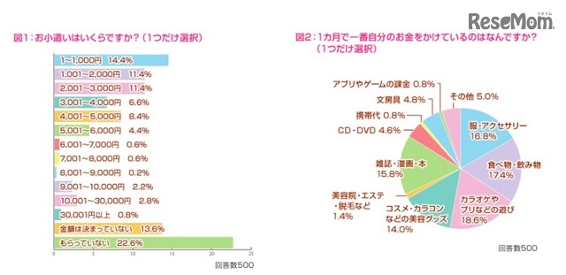 お小遣いの額について／1か月で一番自分のお金をかけるものについて