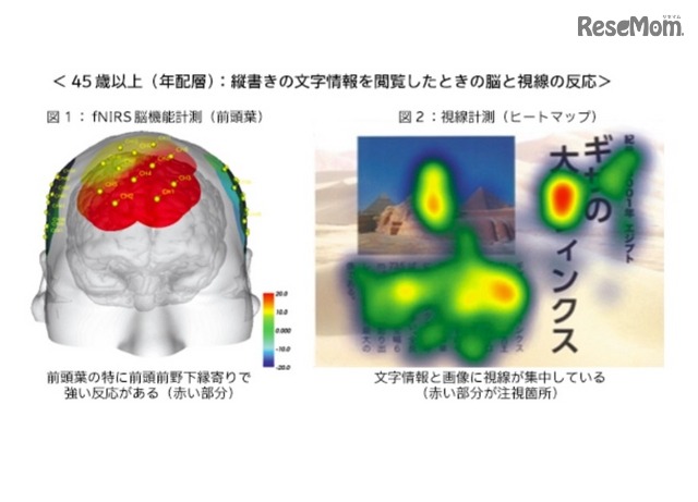 年配層：縦書きの文字情報を閲覧した時の脳と視線の反応