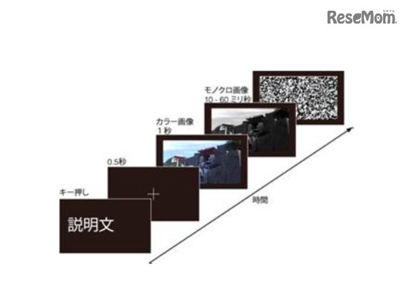 視覚の時間精度を測る実験のイメージ