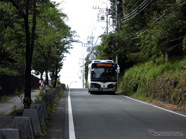 伊勢神宮、内宮と外宮を結ぶ旧街道・古市参宮街道を歩く。江戸時代のにぎわいを感じる猿田彦神社や麻吉旅館へ（AIR & BUS成田発伊勢行きツアー）