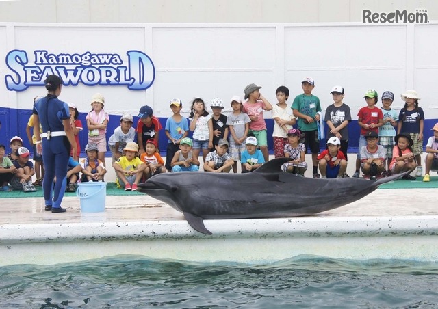 鴨川シーワールド「サマースクール」サーフスタジアム
