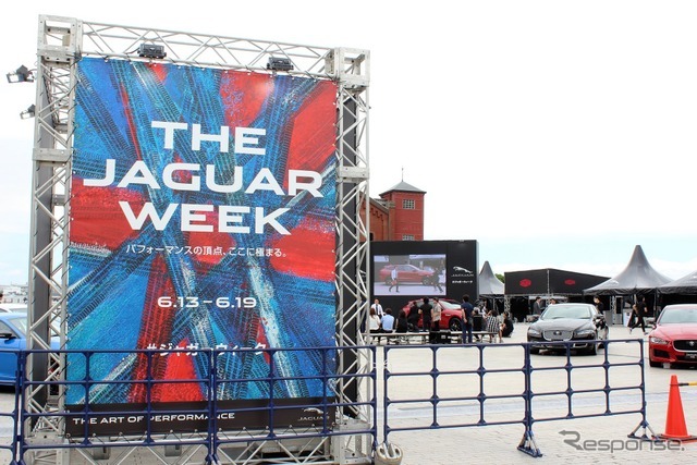 THE JAGUAR WEEK