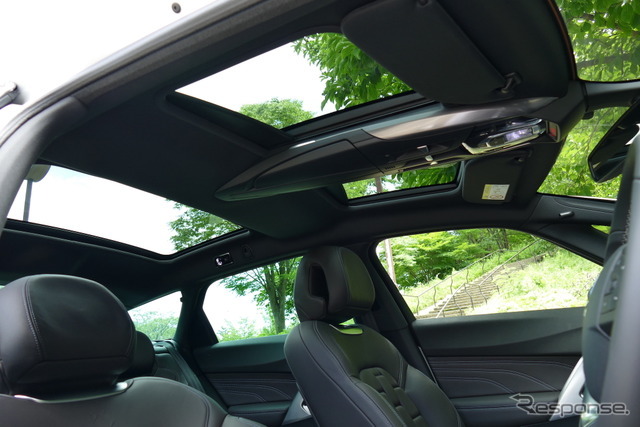 DS 5 シック レザーパッケージ