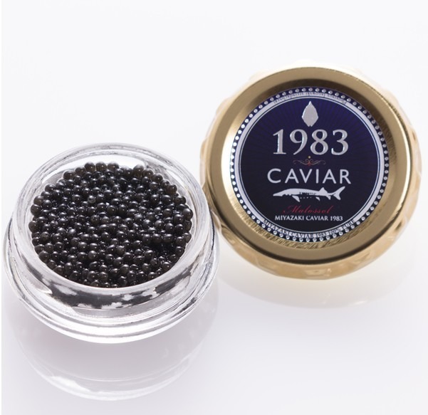 シロチョウザメ卵径3.0～3.4mmのフレッシュキャビア 12g瓶入り「MIYAZAKI CAVIAR 1983（12g）」。