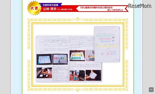 「環境部門」2015年度大賞（小学4年生）