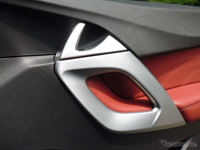 DS 5 シック