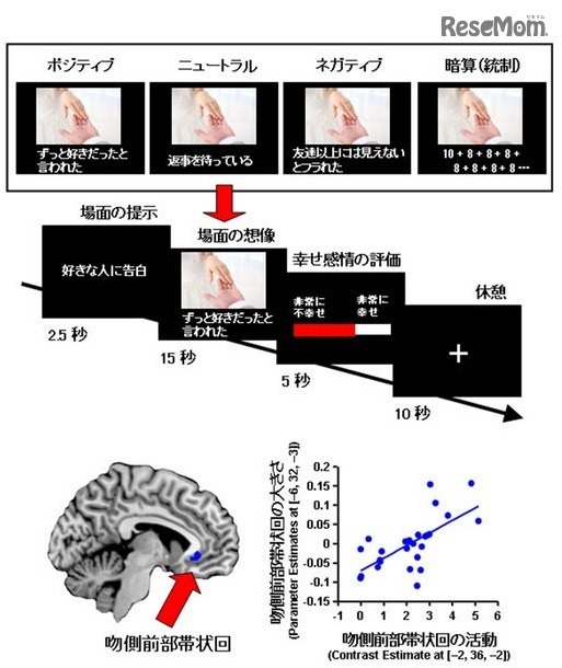 幸せ感情と吻側前部帯状回活動との関連